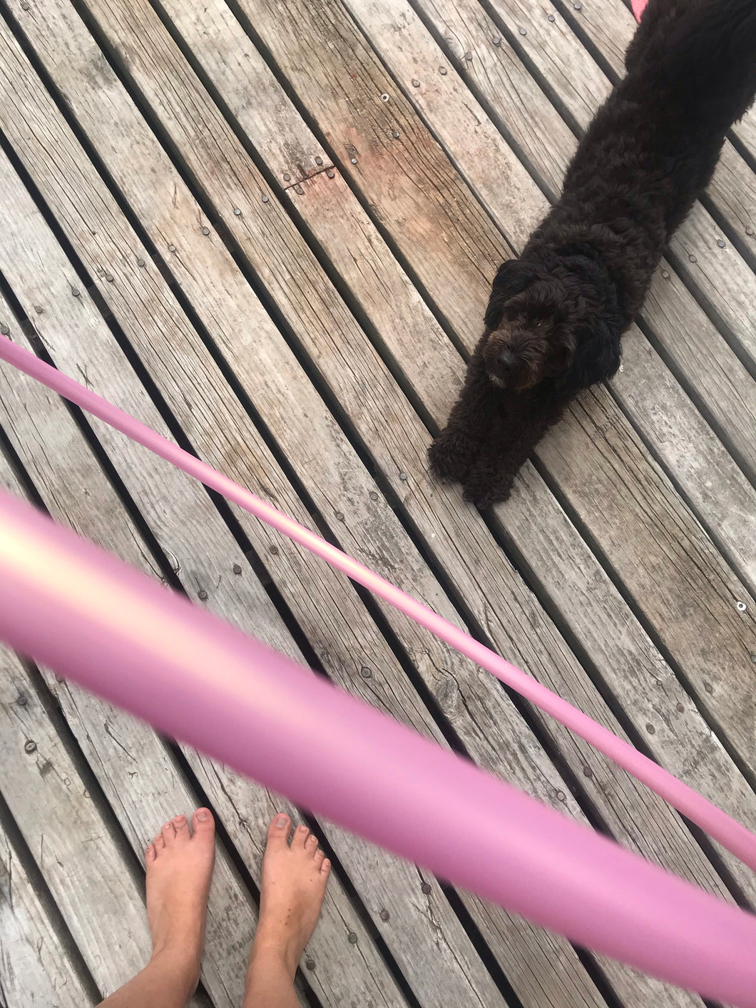 Bubblegum pink hula hoop with a cute happy dog